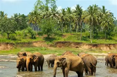 Best Goa Group Tour Packages